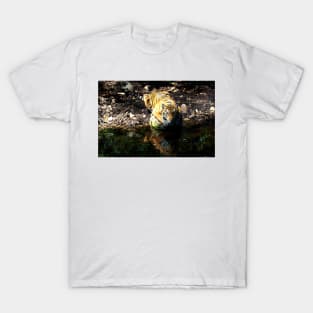 Tiger Reflections T-Shirt